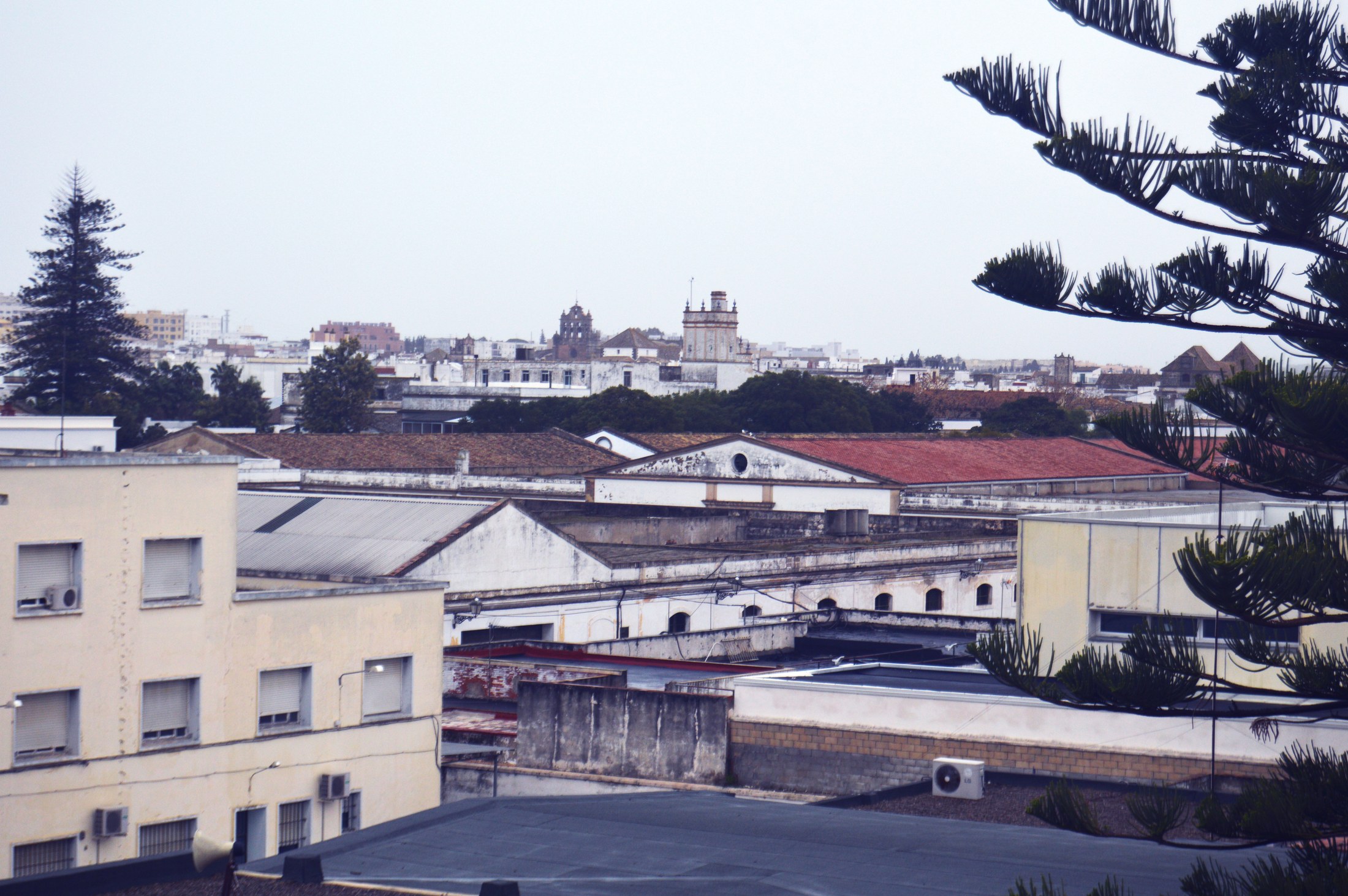 Vista urbana de las bodegas y del paisaje del vino en El Puerto de Santa María.